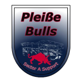 Pleiße Bulls